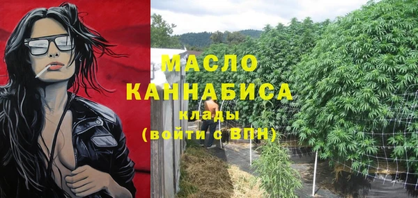 индика Нижневартовск