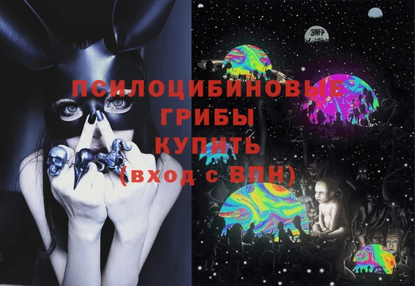 дурь Ладушкин