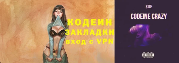 амф Лабытнанги
