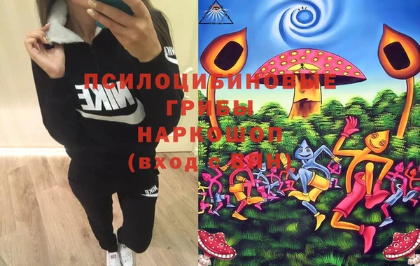 дурь Ладушкин