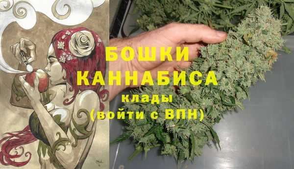 прущие крисы Кулебаки