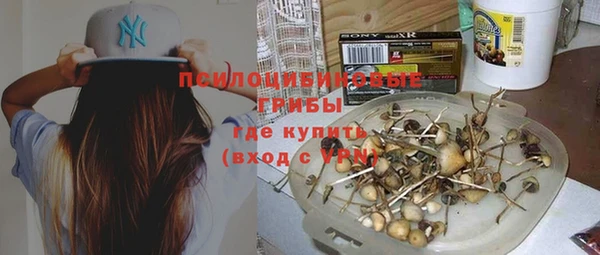 дурь Ладушкин