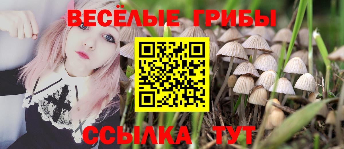Псилоцибиновые грибы ЛСД  Вход с VPN  Черемхово 