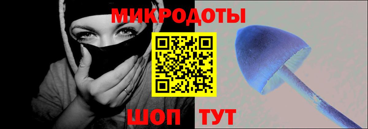 Галлюциногенные грибы прущие грибы Черемхово