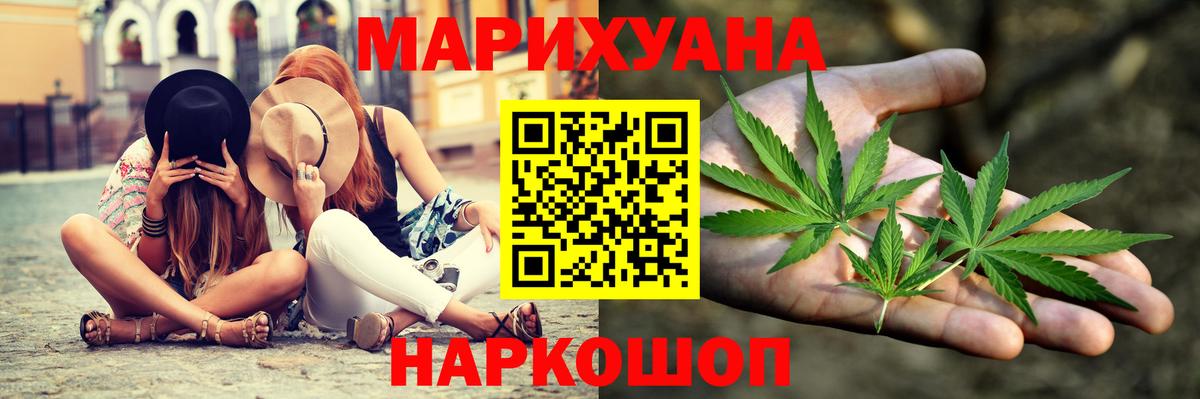 Каннабис сатива  Канабис сатива  Марихуана план  Вход с VPN  Черемхово 